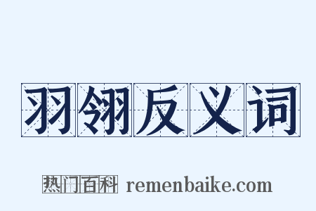 羽翎反义词是什么意思的图片